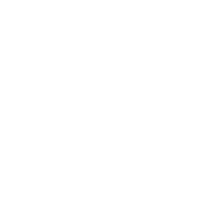 logo-artemagnolia-trasparente-w